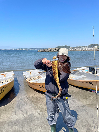 ウツボの釣果