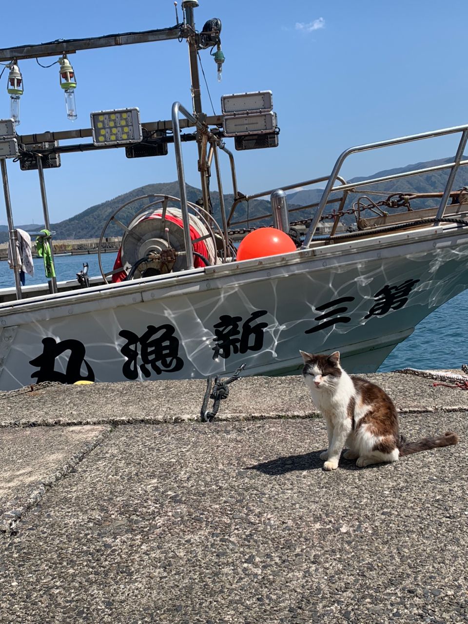 ダッさんさんの釣果 3枚目の画像