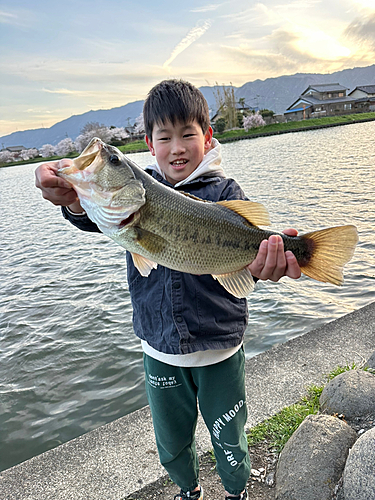 ブラックバスの釣果