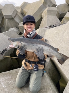 ブラウントラウトの釣果