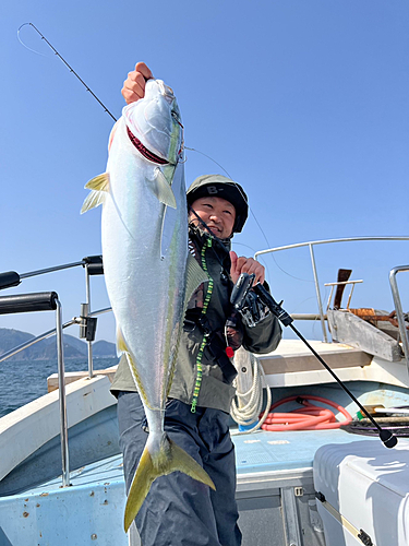 ブリの釣果