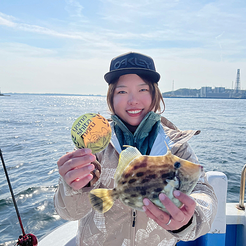 カワハギの釣果