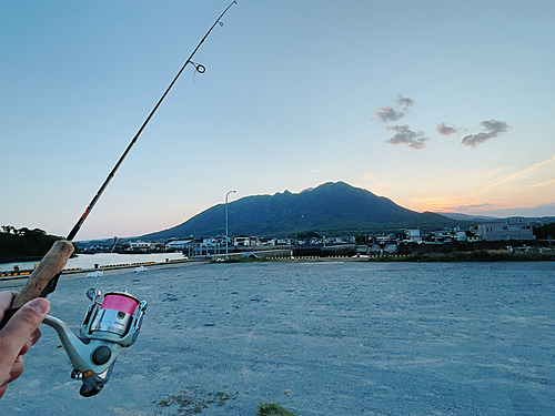 アラカブの釣果