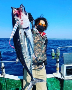 ビンチョウマグロの釣果