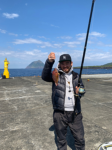 アカササノハベラの釣果