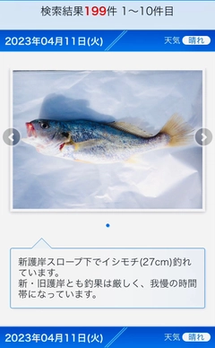 イシモチの釣果