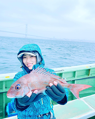 タイの釣果