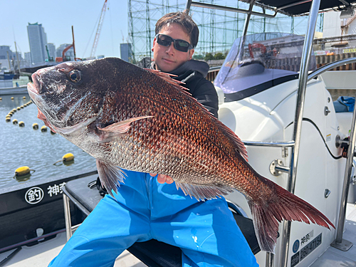 マダイの釣果