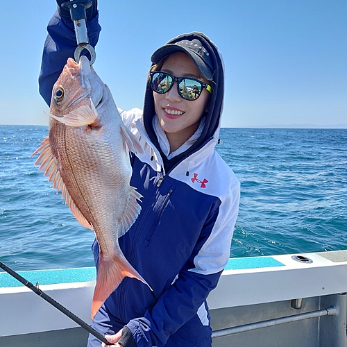 マダイの釣果