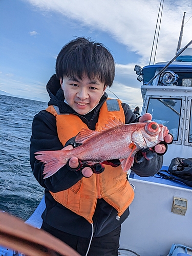 アカムツの釣果