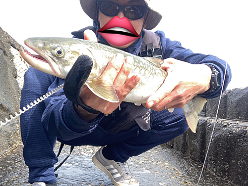 アメマスの釣果