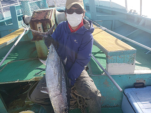 ビンチョウマグロの釣果