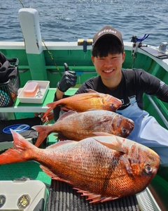 マダイの釣果