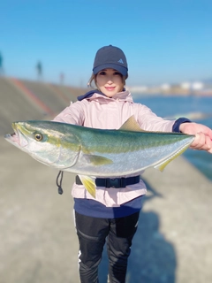 メジロの釣果