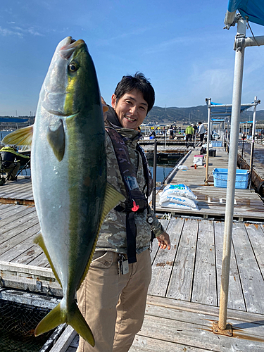 ハマチの釣果