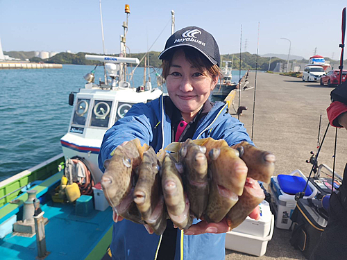 カワハギの釣果