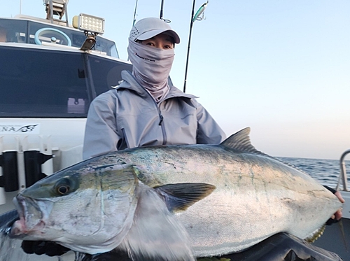 ヒラマサの釣果