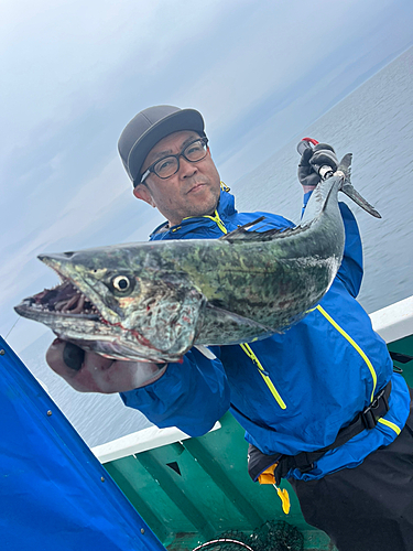 サワラの釣果