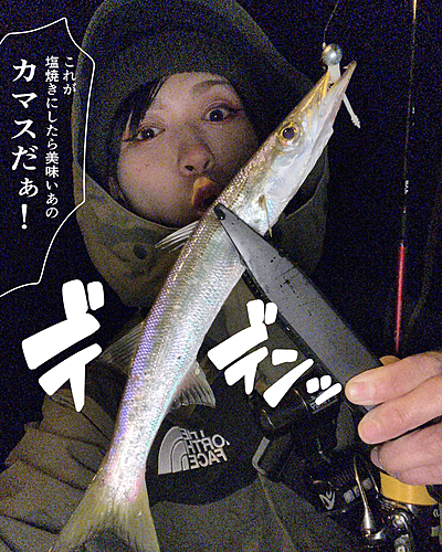 カマスの釣果