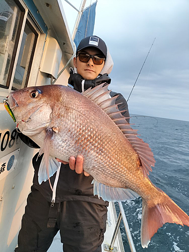 タイの釣果