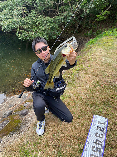 ブラックバスの釣果