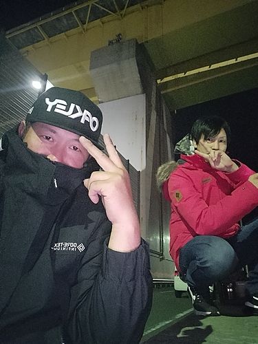 アイナメの釣果