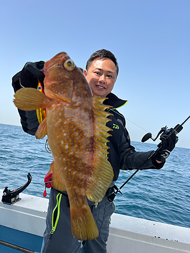 キジハタの釣果