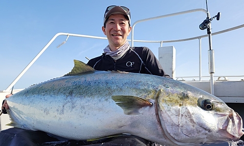 ヒラマサの釣果