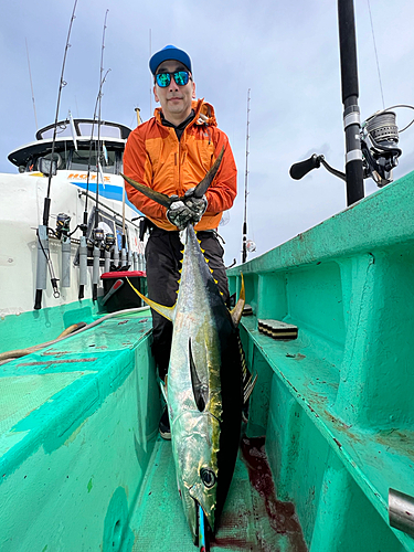 キハダマグロの釣果