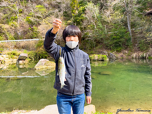 ニジマスの釣果