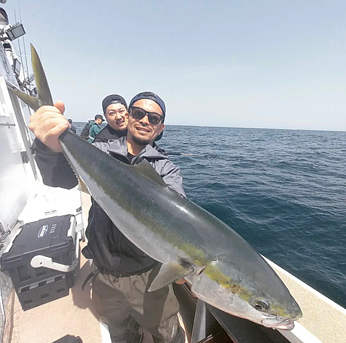 ブリの釣果