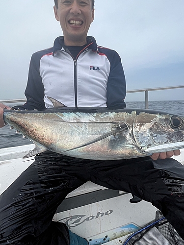 ビンチョウマグロの釣果