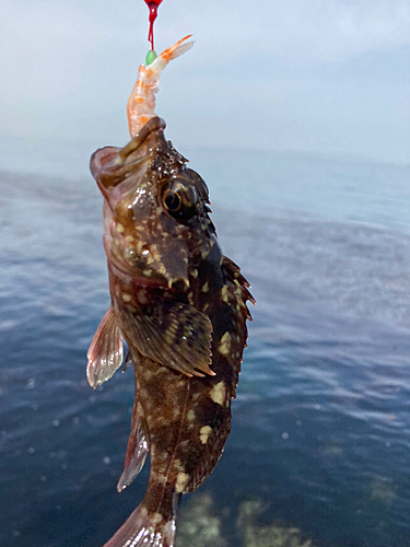 釣果