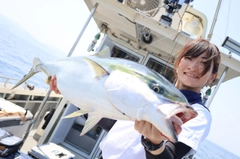 ブリの釣果