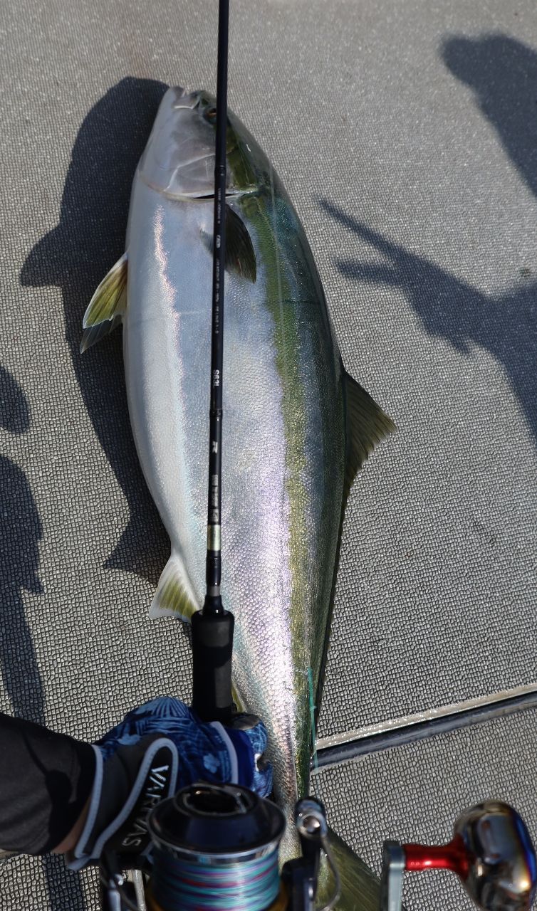 MALINAさんの釣果 3枚目の画像