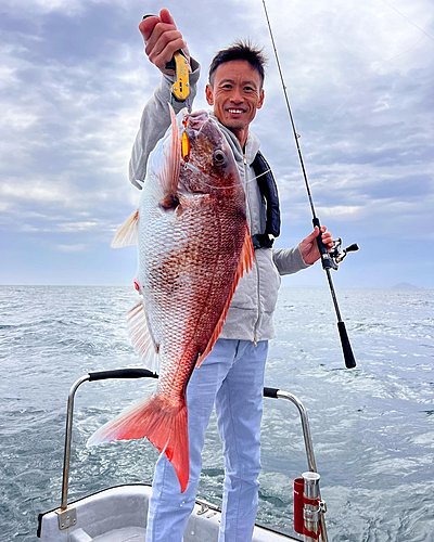 マダイの釣果