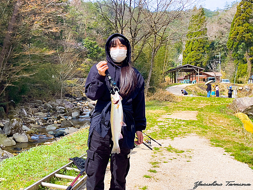 ニジマスの釣果