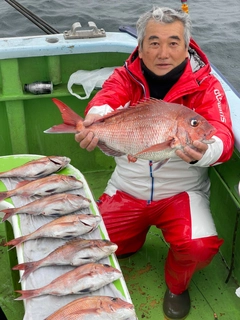 マダイの釣果