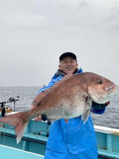 マダイの釣果