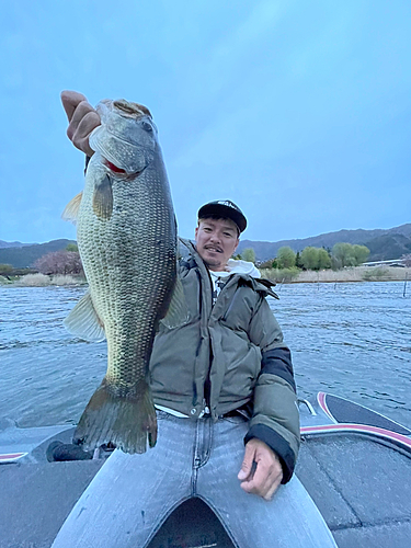 ラージマウスバスの釣果