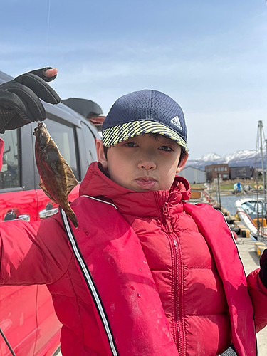 クロガシラガレイの釣果