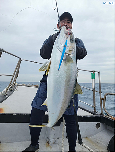 ヒラマサの釣果