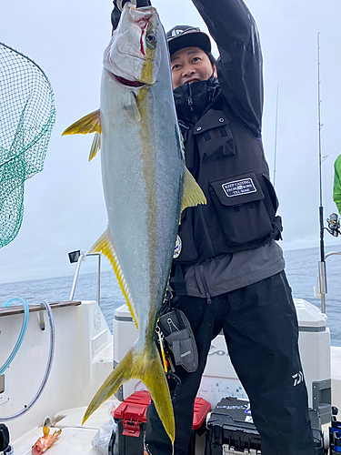 ヒラマサの釣果