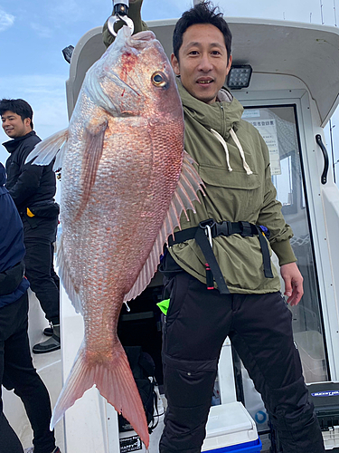 マダイの釣果