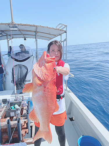 スジアラの釣果