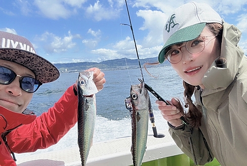 サバの釣果