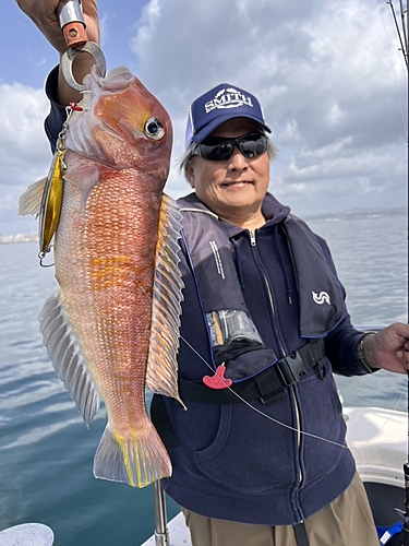 アマダイの釣果