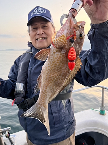 オオモンハタの釣果