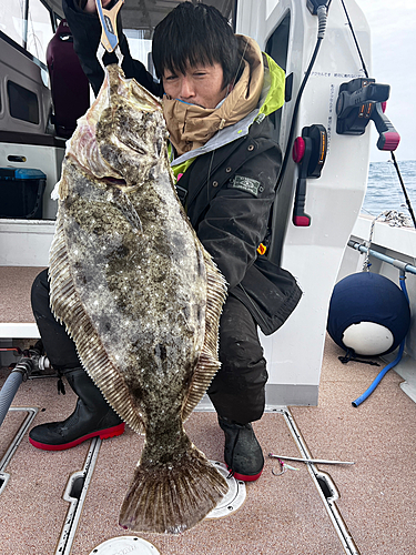 ヒラメの釣果