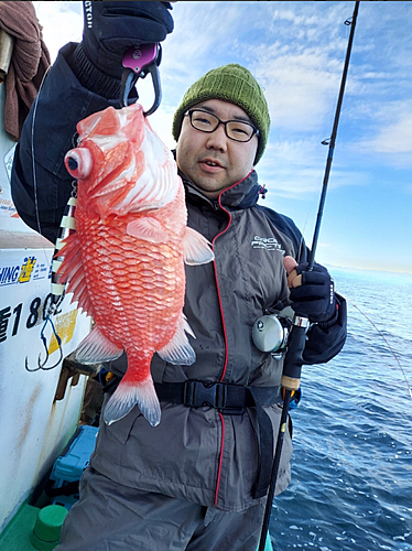 エビスダイの釣果